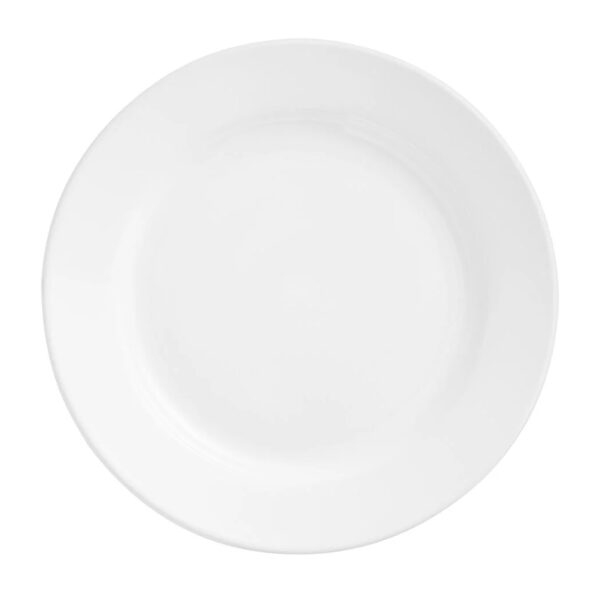 Dinner plates
